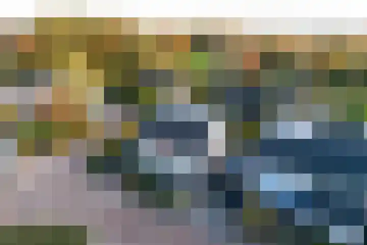 De Watersnip 16 Vriezenveen thumbnail 42