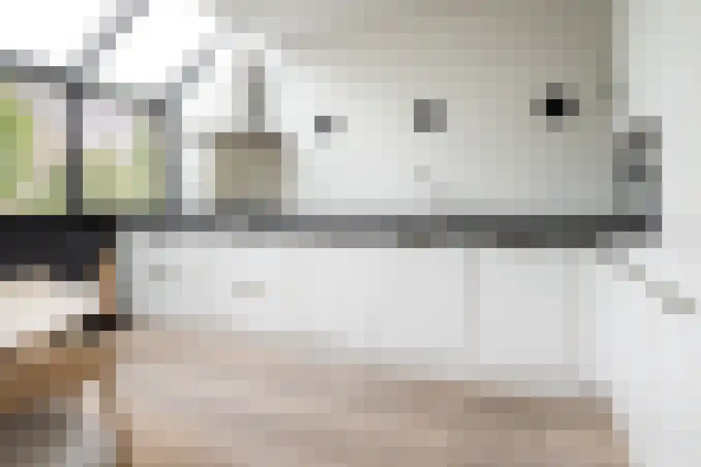 De Watersnip 18 Vriezenveen thumbnail 21