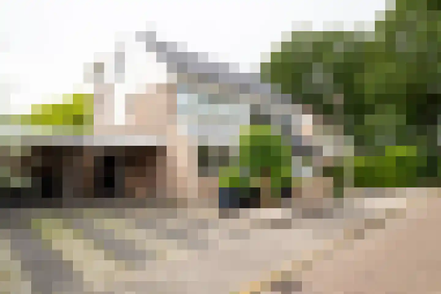 De Watersnip 18 Vriezenveen thumbnail 7