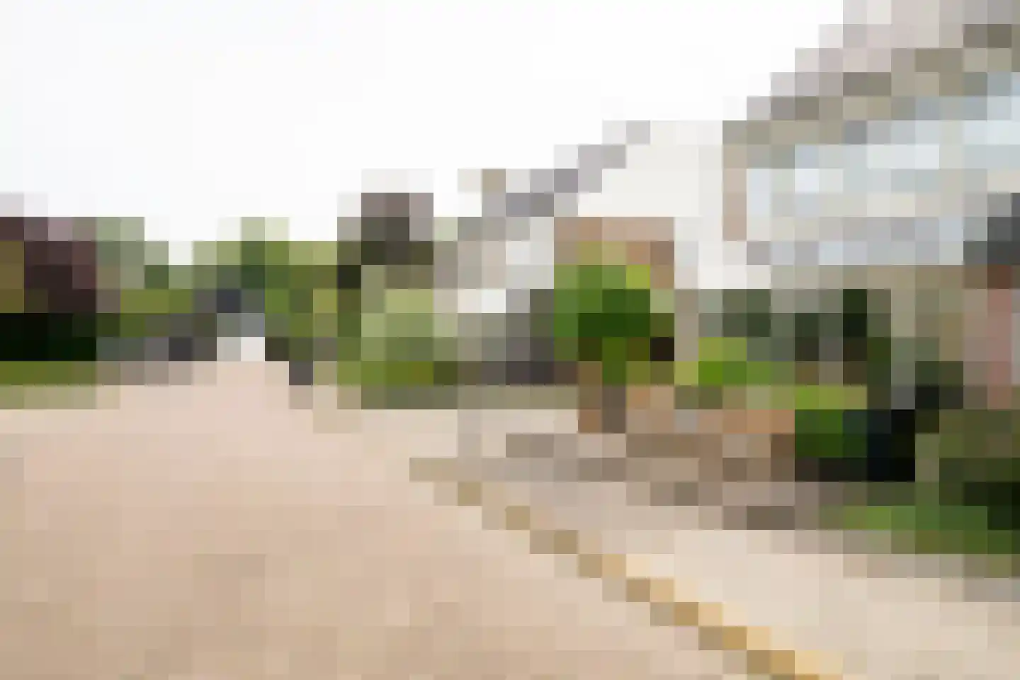 De Watersnip 18 Vriezenveen thumbnail 9