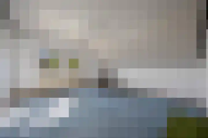 De Watersnip 27 Sint-Michielsgestel thumbnail 32