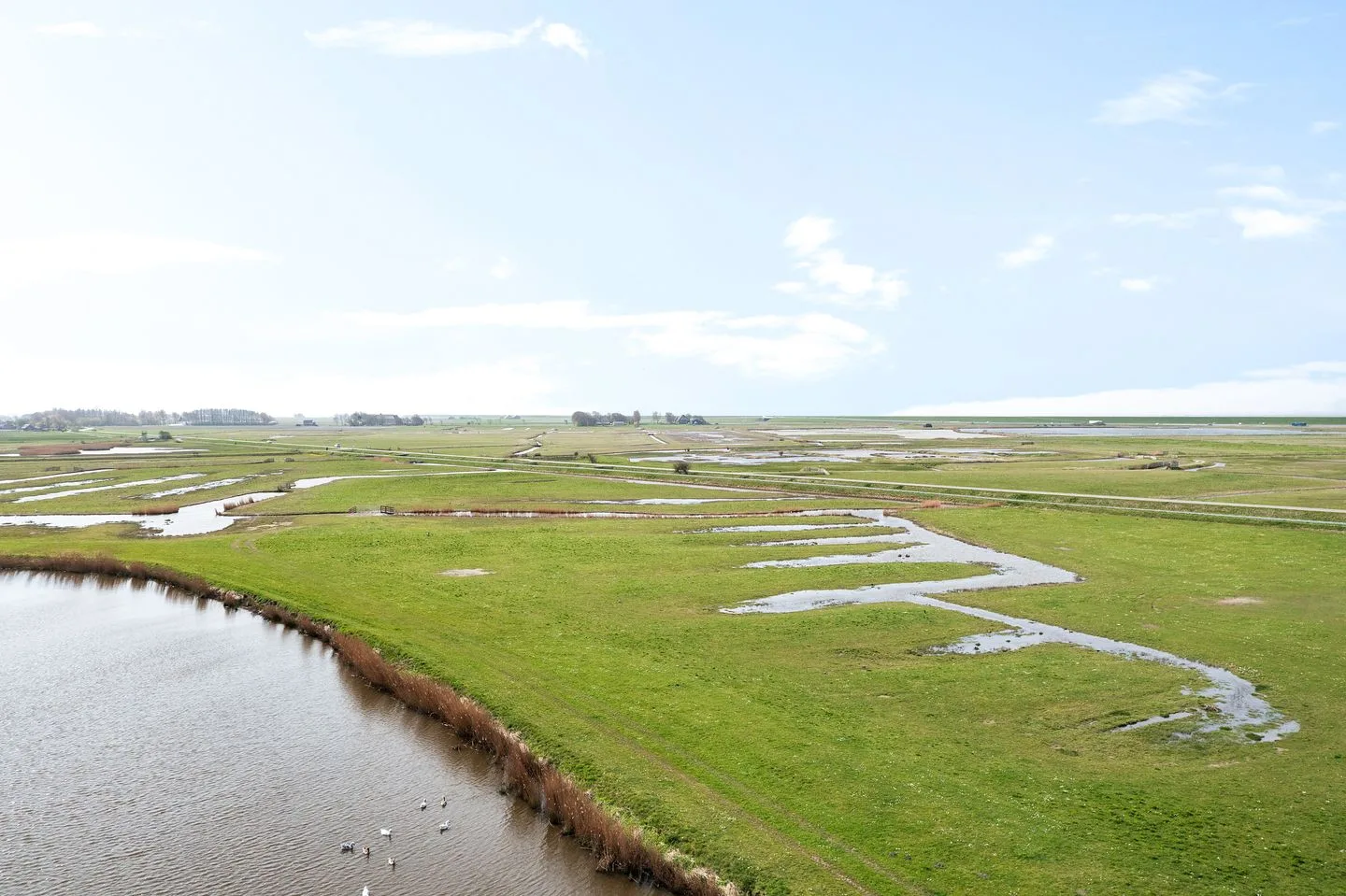 De Watersnip 36 Harlingen thumbnail 55