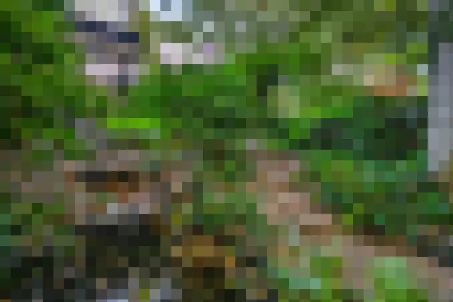 De Watertoren 3 Rhenen thumbnail 34