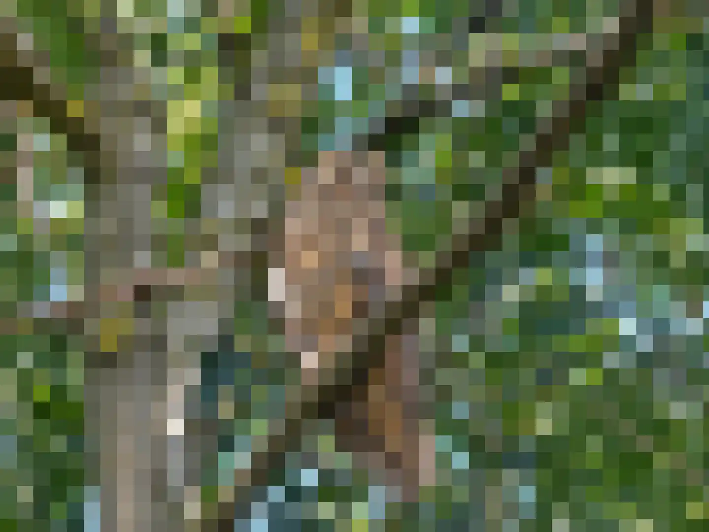 De Watertoren 3 Rhenen thumbnail 36