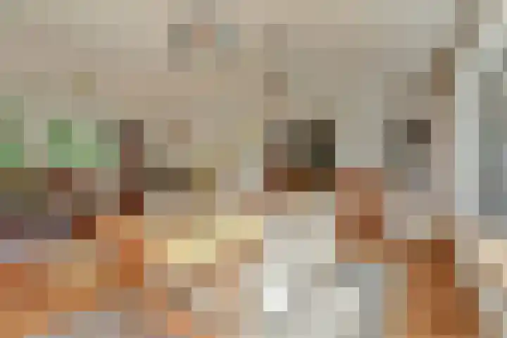 De Wedberg 28 Tynaarlo thumbnail 14