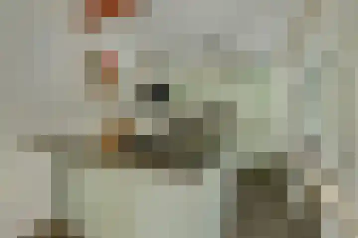 De Wedberg 28 Tynaarlo thumbnail 18
