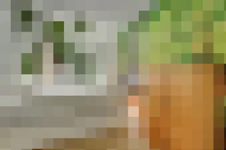 De Wedberg 28 Tynaarlo thumbnail 24