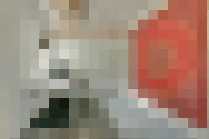 De Wedberg 28 Tynaarlo thumbnail 27