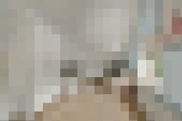 De Wedberg 28 Tynaarlo thumbnail 28