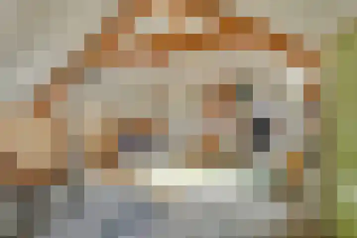 De Wedberg 28 Tynaarlo thumbnail 31