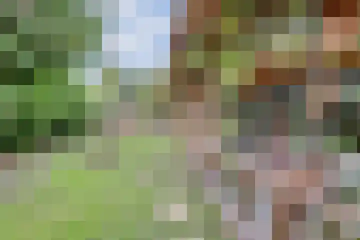 De Wedberg 28 Tynaarlo thumbnail 35