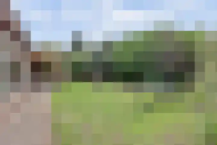 De Wedberg 28 Tynaarlo thumbnail 36