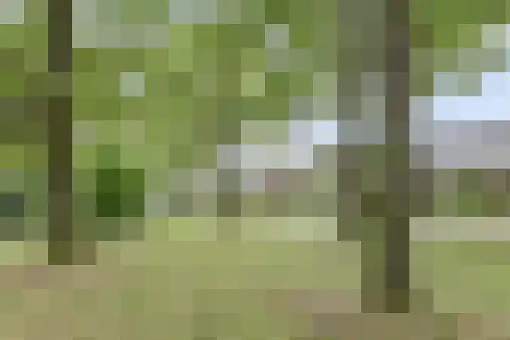 De Wedberg 28 Tynaarlo thumbnail 38