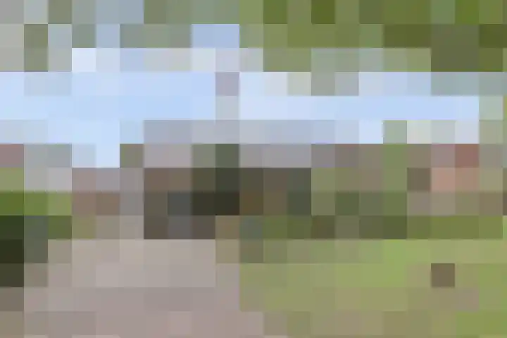 De Wedberg 28 Tynaarlo thumbnail 39