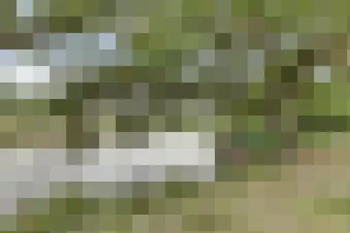 De Wedberg 28 Tynaarlo thumbnail 40
