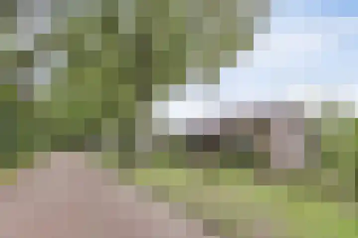 De Wedberg 28 Tynaarlo thumbnail 5