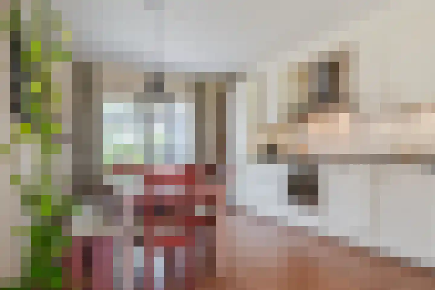 De Wedde 10 Stadskanaal thumbnail 18