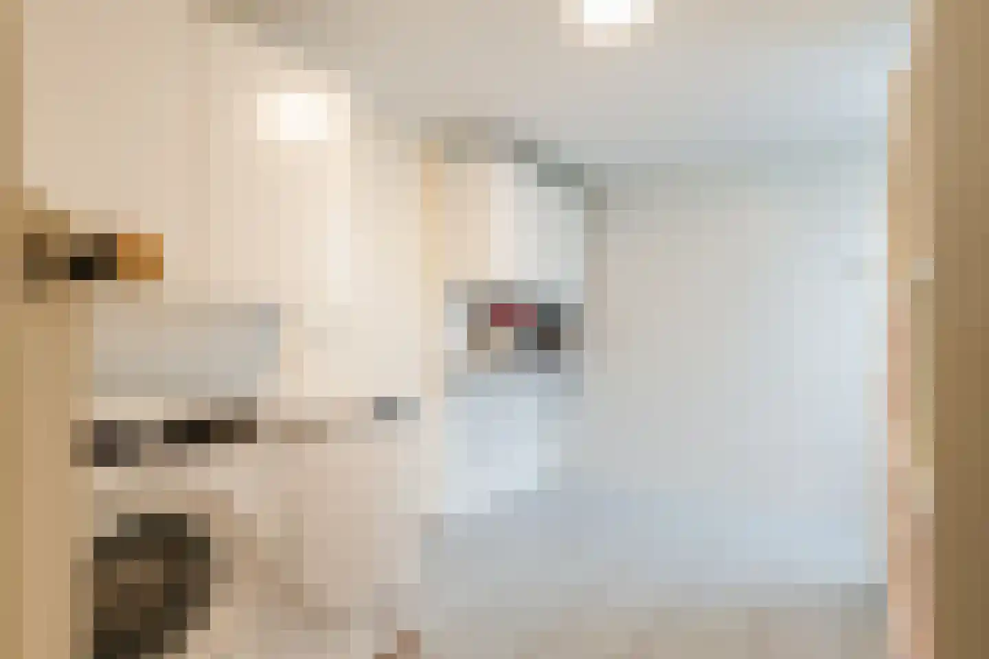 De Wedde 10 Stadskanaal thumbnail 21