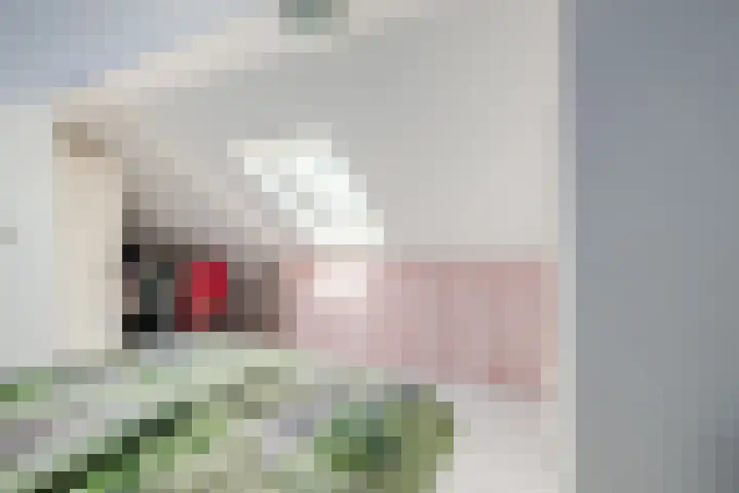 De Wedde 10 Stadskanaal thumbnail 37