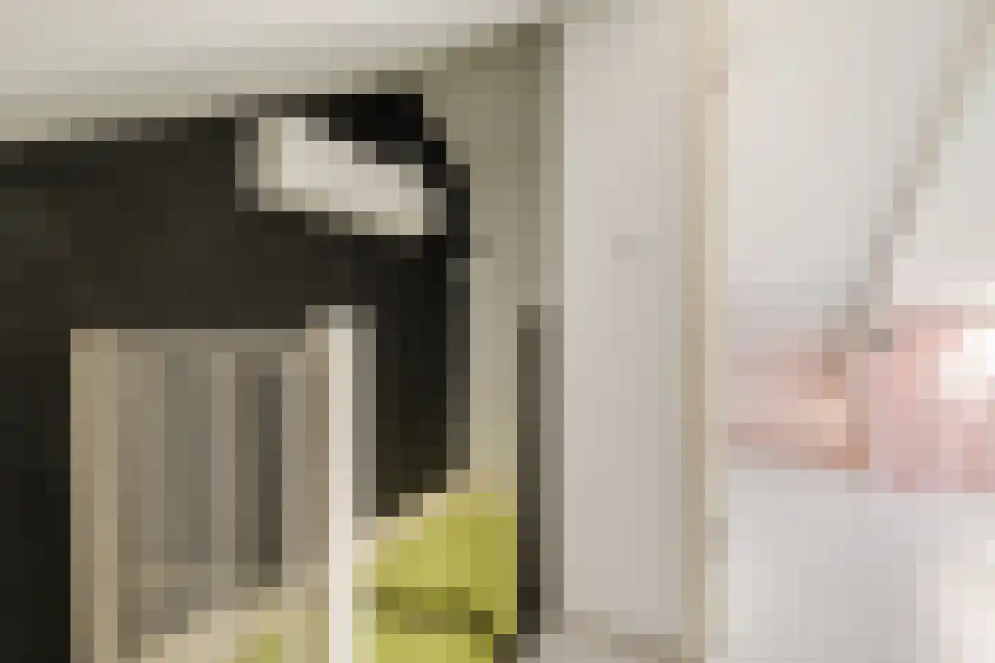De Wedde 10 Stadskanaal thumbnail 39