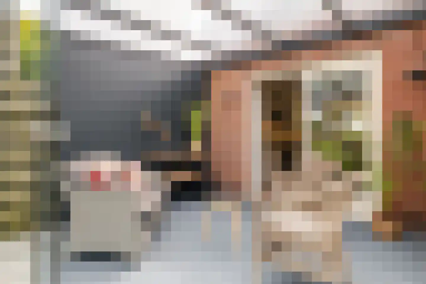 De Wedde 10 Stadskanaal thumbnail 41