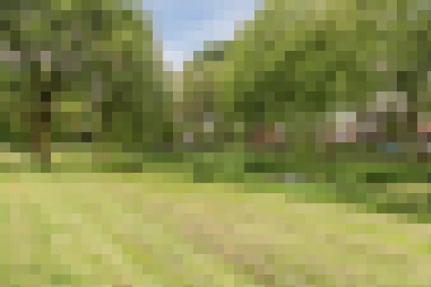 De Wedde 10 Stadskanaal thumbnail 46