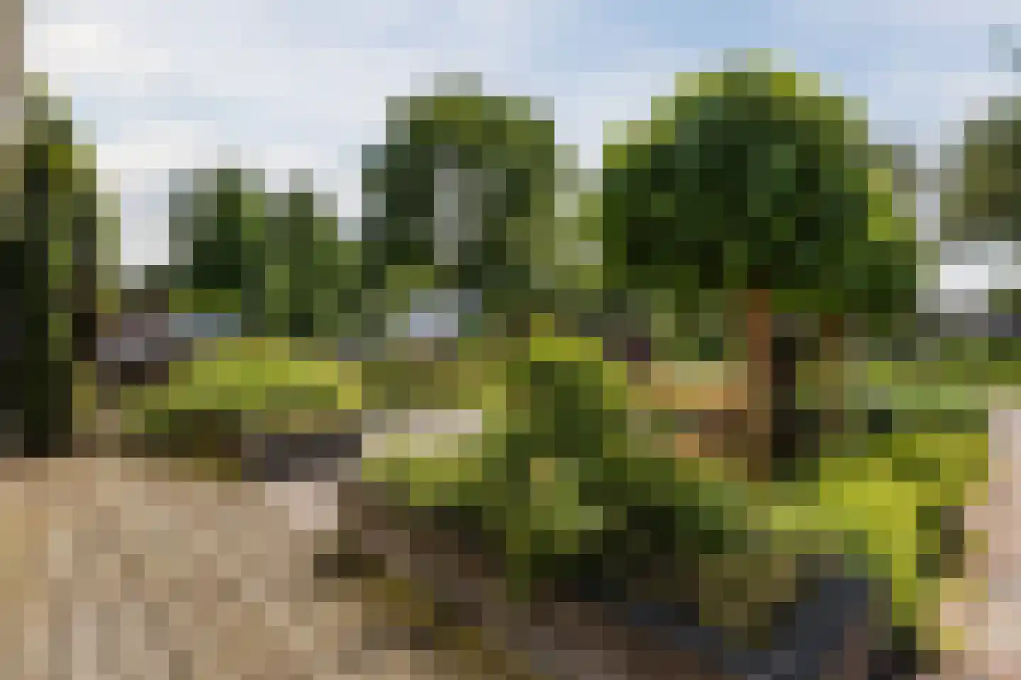 De Wedde 10 Stadskanaal thumbnail 6