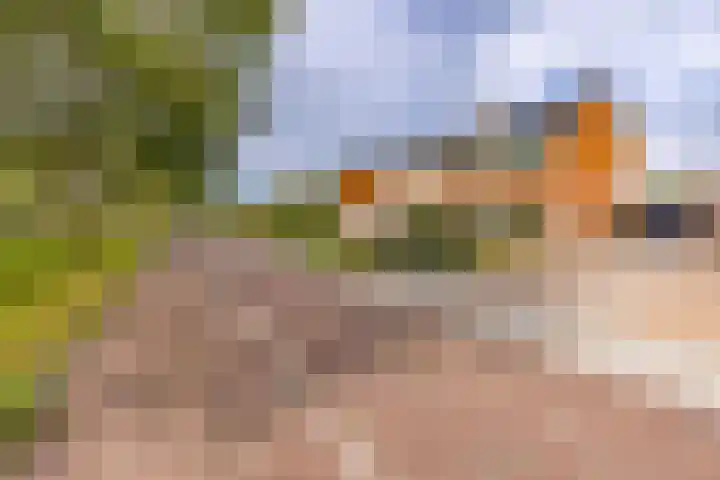 De Wedde 12 Stadskanaal thumbnail 10