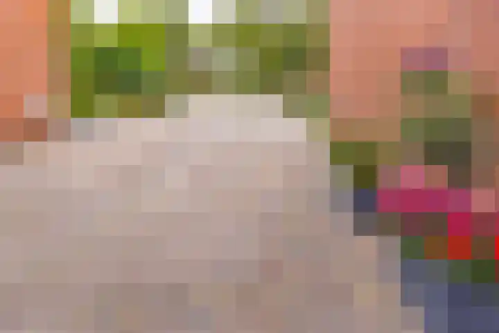 De Wedde 12 Stadskanaal thumbnail 11