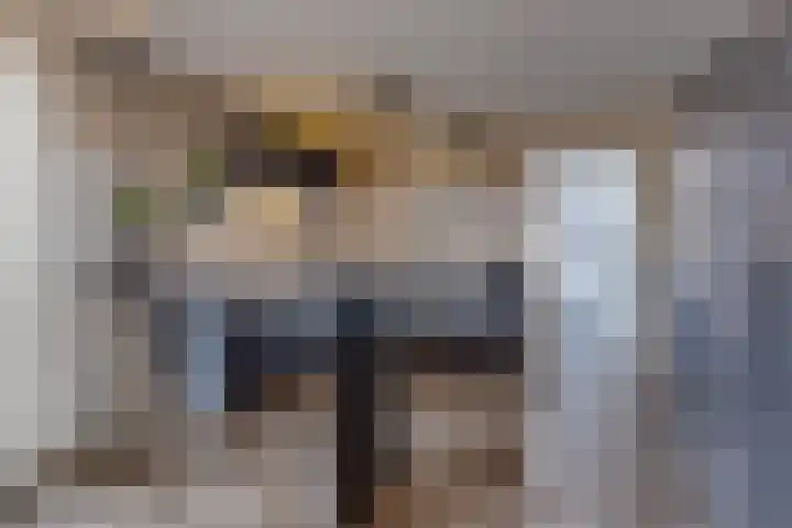 De Wedde 12 Stadskanaal thumbnail 19