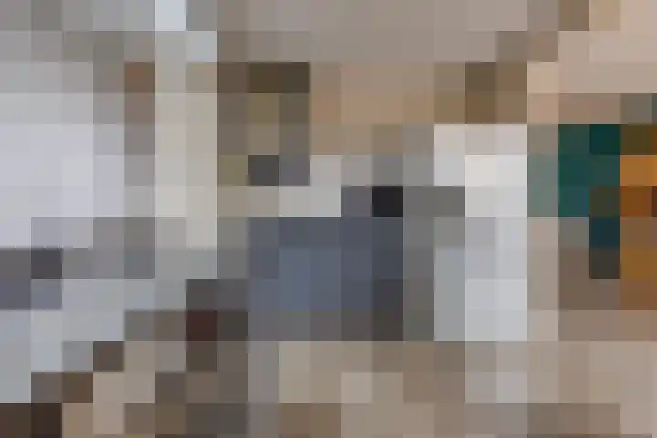 De Wedde 12 Stadskanaal thumbnail 21