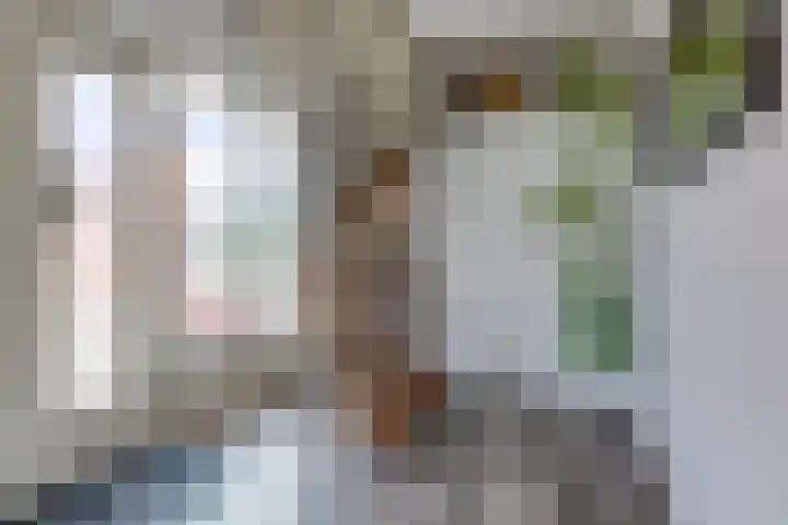 De Wedde 12 Stadskanaal thumbnail 27