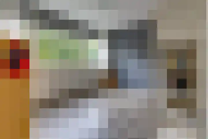 De Wedde 12 Stadskanaal thumbnail 32