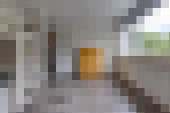 De Wedde 12 Stadskanaal thumbnail 33