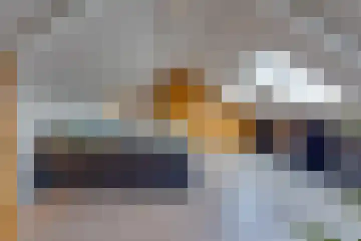 De Wedde 12 Stadskanaal thumbnail 39