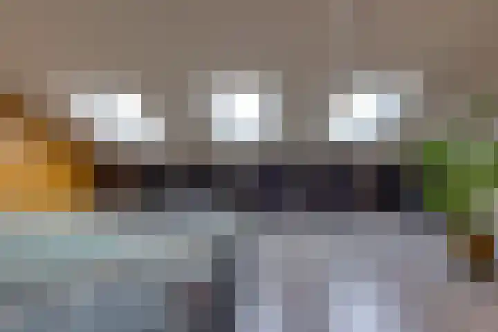 De Wedde 12 Stadskanaal thumbnail 40