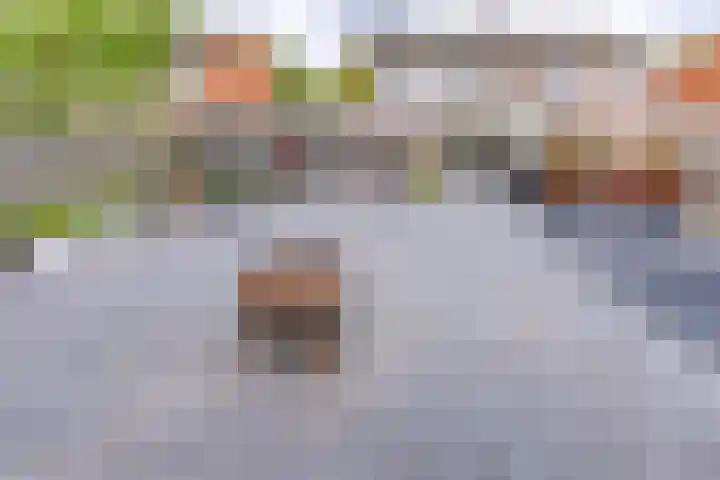 De Wedde 12 Stadskanaal thumbnail 41