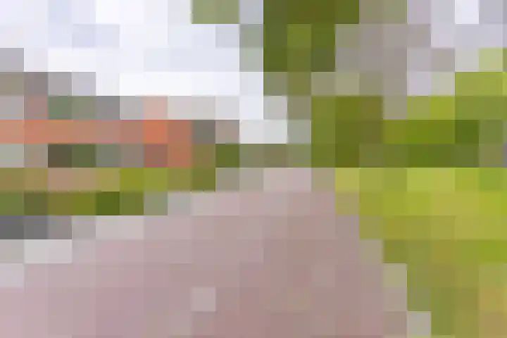 De Wedde 12 Stadskanaal thumbnail 8