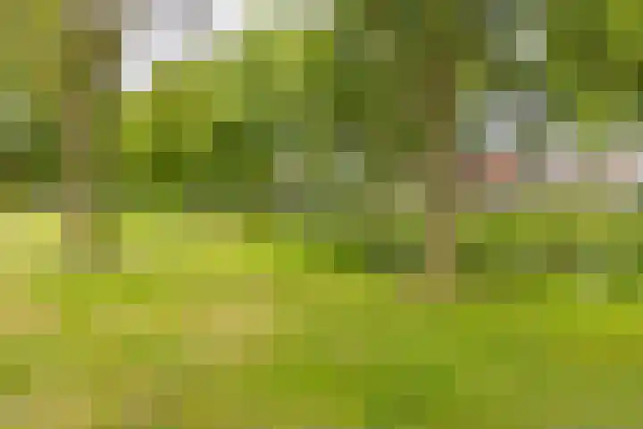 De Wedde 12 Stadskanaal thumbnail 9