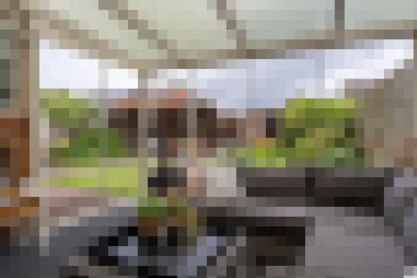 De Wedde 14 Stadskanaal thumbnail 36