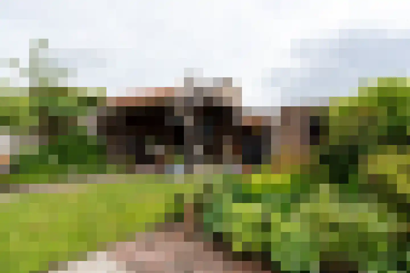 De Wedde 14 Stadskanaal thumbnail 38