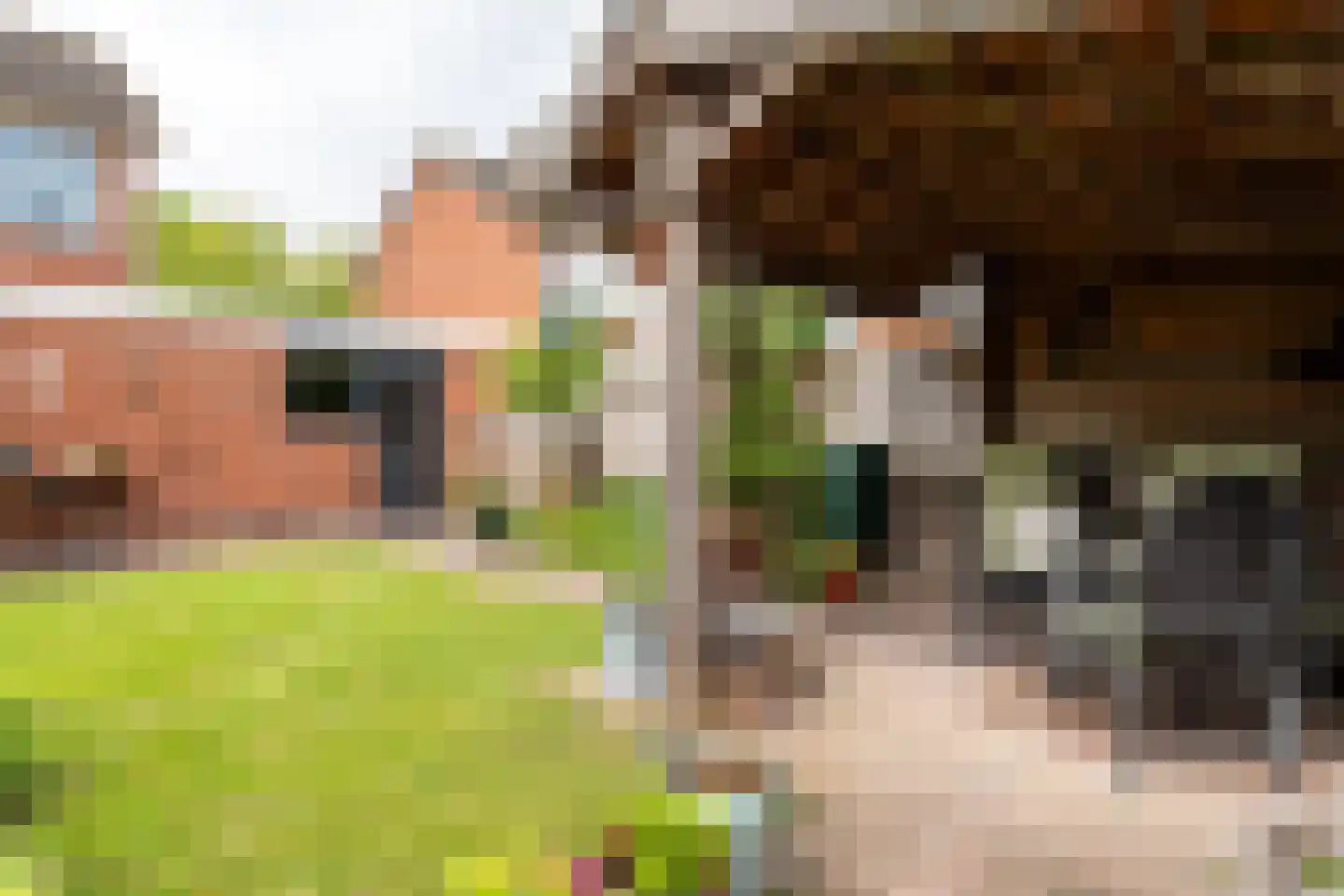 De Wedde 14 Stadskanaal thumbnail 44
