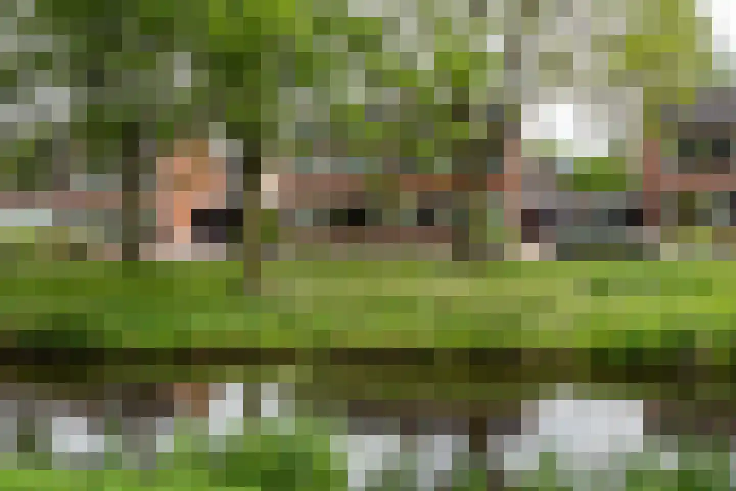 De Wedde 14 Stadskanaal thumbnail 48