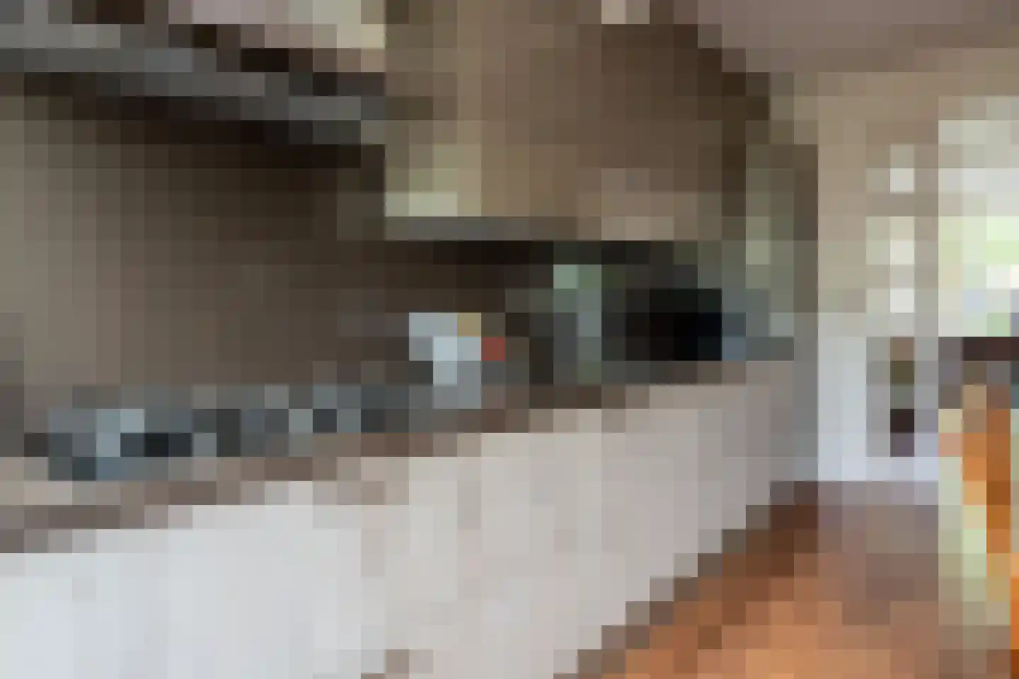 De Wedde 14 Stadskanaal thumbnail 7
