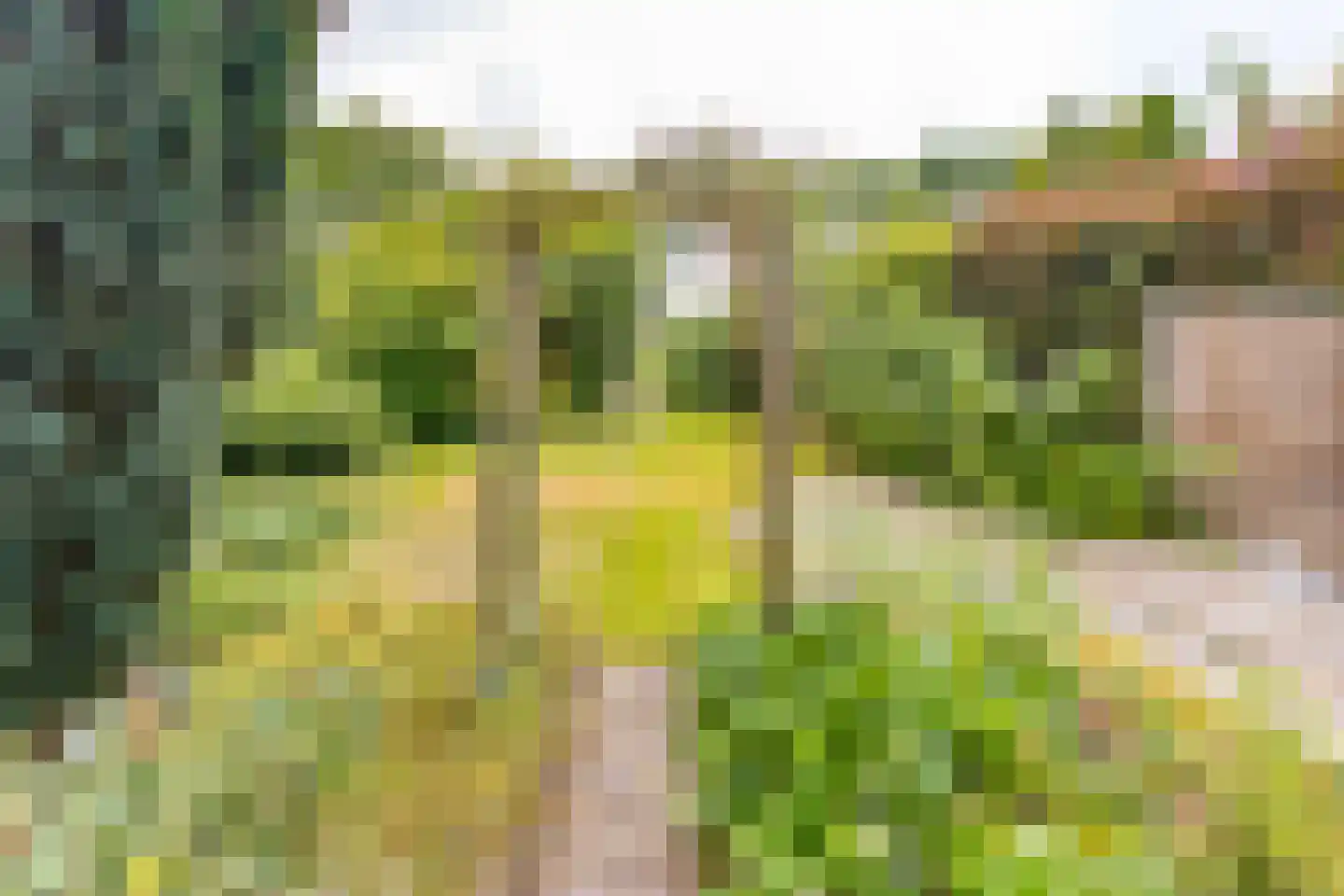 De Wedde 3 Stadskanaal thumbnail 32