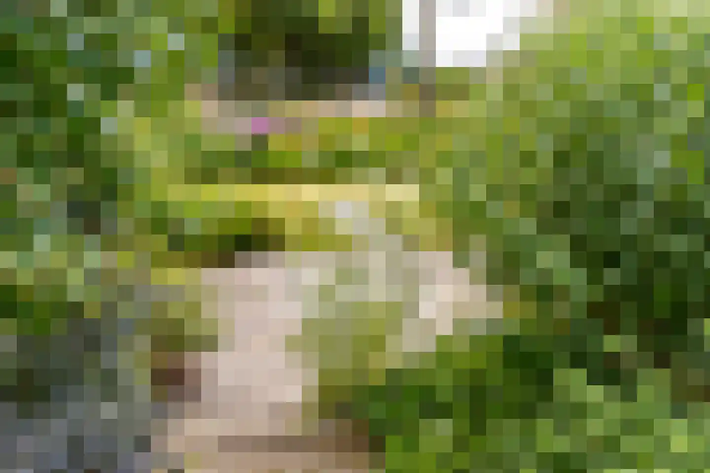 De Wedde 3 Stadskanaal thumbnail 33