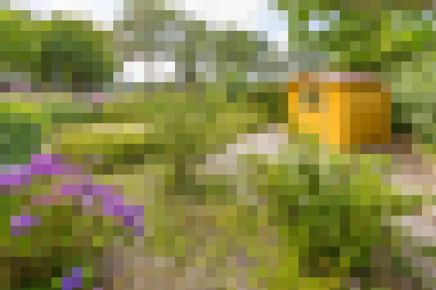 De Wedde 3 Stadskanaal thumbnail 34