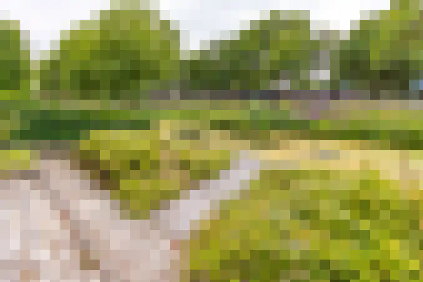 De Wedde 3 Stadskanaal thumbnail 36