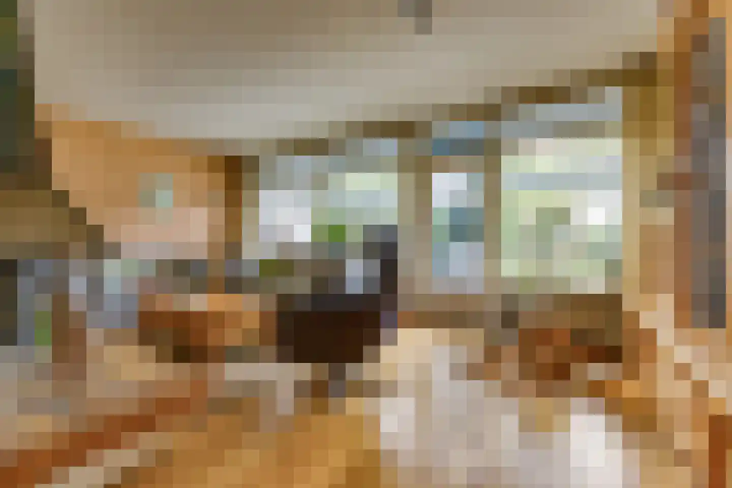 De Wedde 3 Stadskanaal thumbnail 4