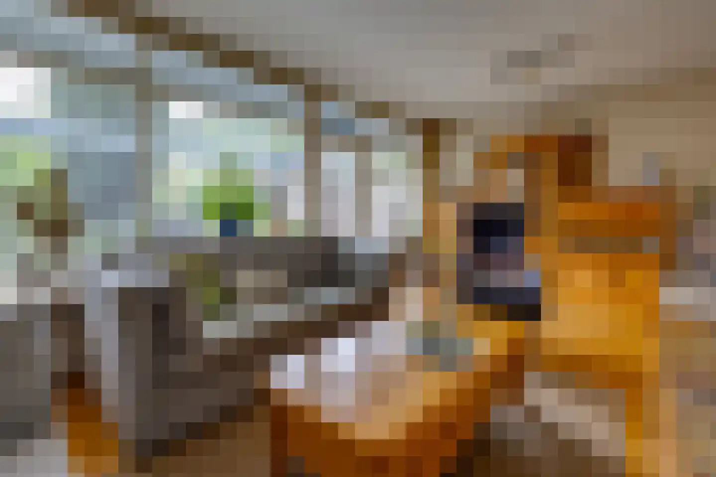 De Wedde 3 Stadskanaal thumbnail 6
